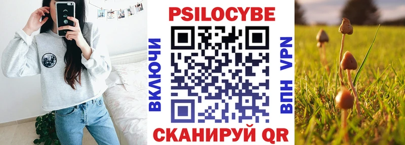 Псилоцибиновые грибы Cubensis Елизаветинская