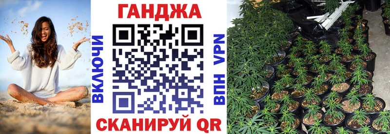 Шишки марихуана Ganja  ссылка на мегу зеркало  Елизаветинская 